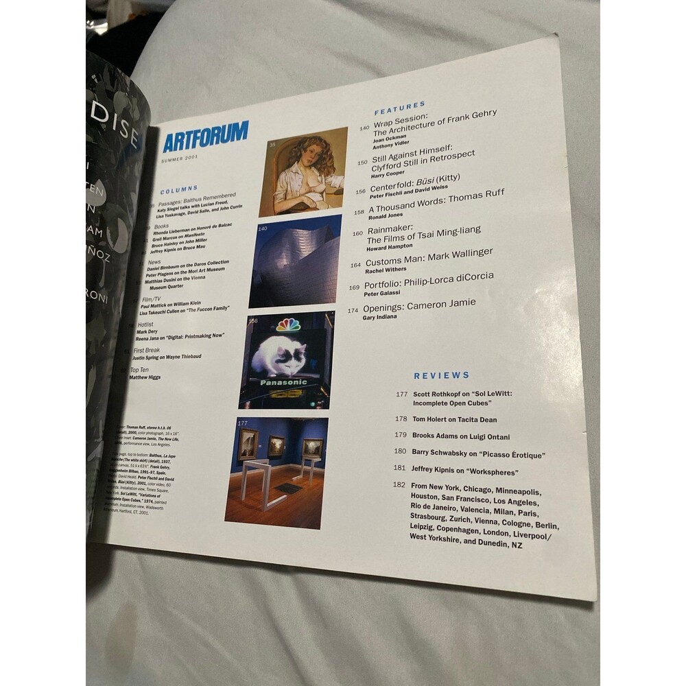 Artforum Magazine Summer 2001 Gary Indiana on Cameron Jamie, Frank Getty, & Ruff - Picture 6 of 6